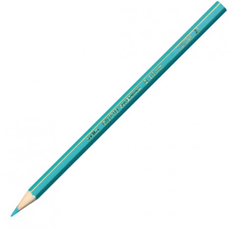 Astuccio con 12 pastelli, forma esagonale e diametro 7,6mm, lunghezza 18cm, mina ricca di pigmenti colore acqua marina