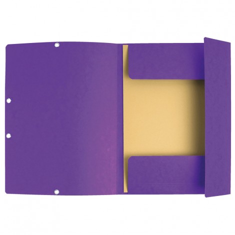 Exacompta Lustr – Cartellina a 3 lembi con elastico angolare, formato 24x32cm, cartone 400gr colore viola. Prezzo singolo, ord. minimo 25pz