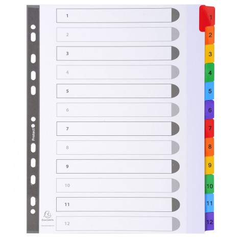 Exacompta Intercalari plastificati 12 tasti 1-12, col. assortiti - Divisore in cartoncino con foratura universale, dotato di pagina indice frontale e tasti colorati e numeri stampati in nero, formato A4 MAXI, 160gr - 1pz